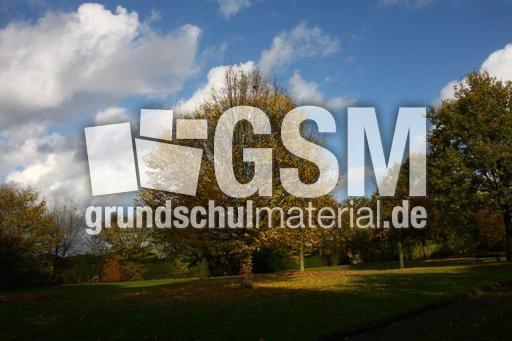 Herbststimmung-25-10-09 009.jpg